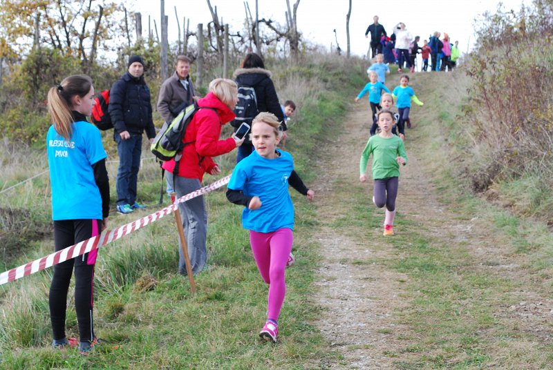 Kros Biljenski 2015 049